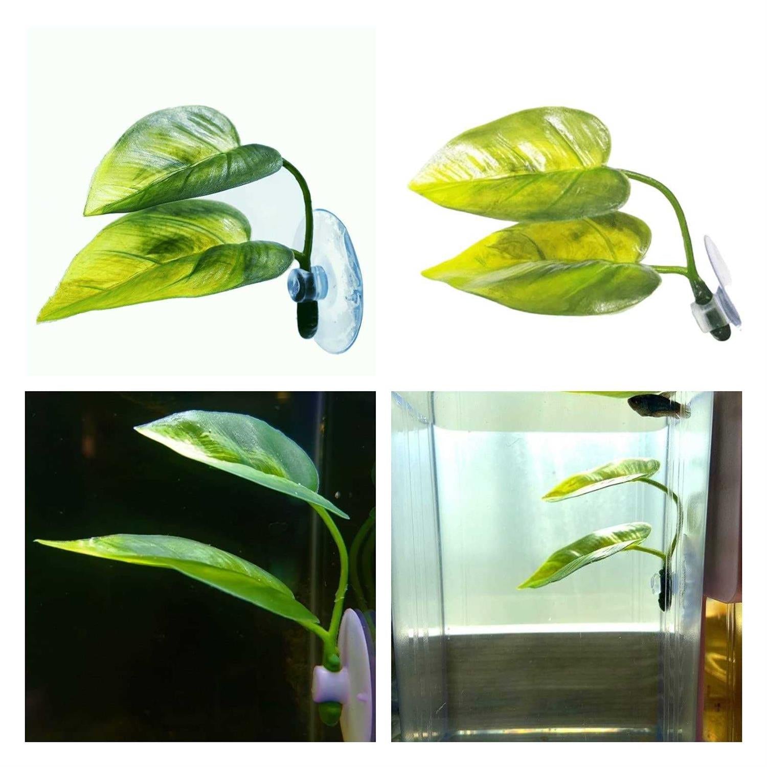 Betta Fish Leaf Pad with Suction Cup for Resting and Breeding O404