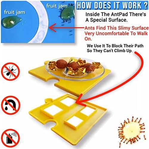 Ant Proof Dog Cat Pet Bowl R1228