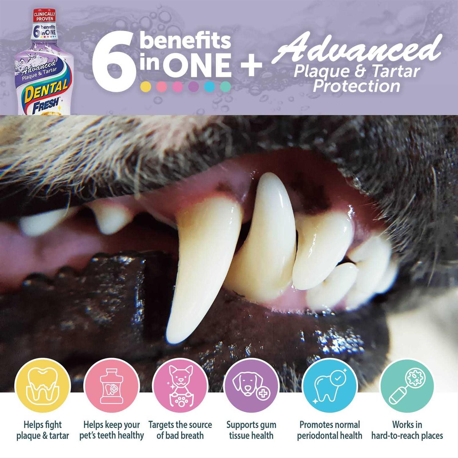 Dental Water Additive for Dogs D624