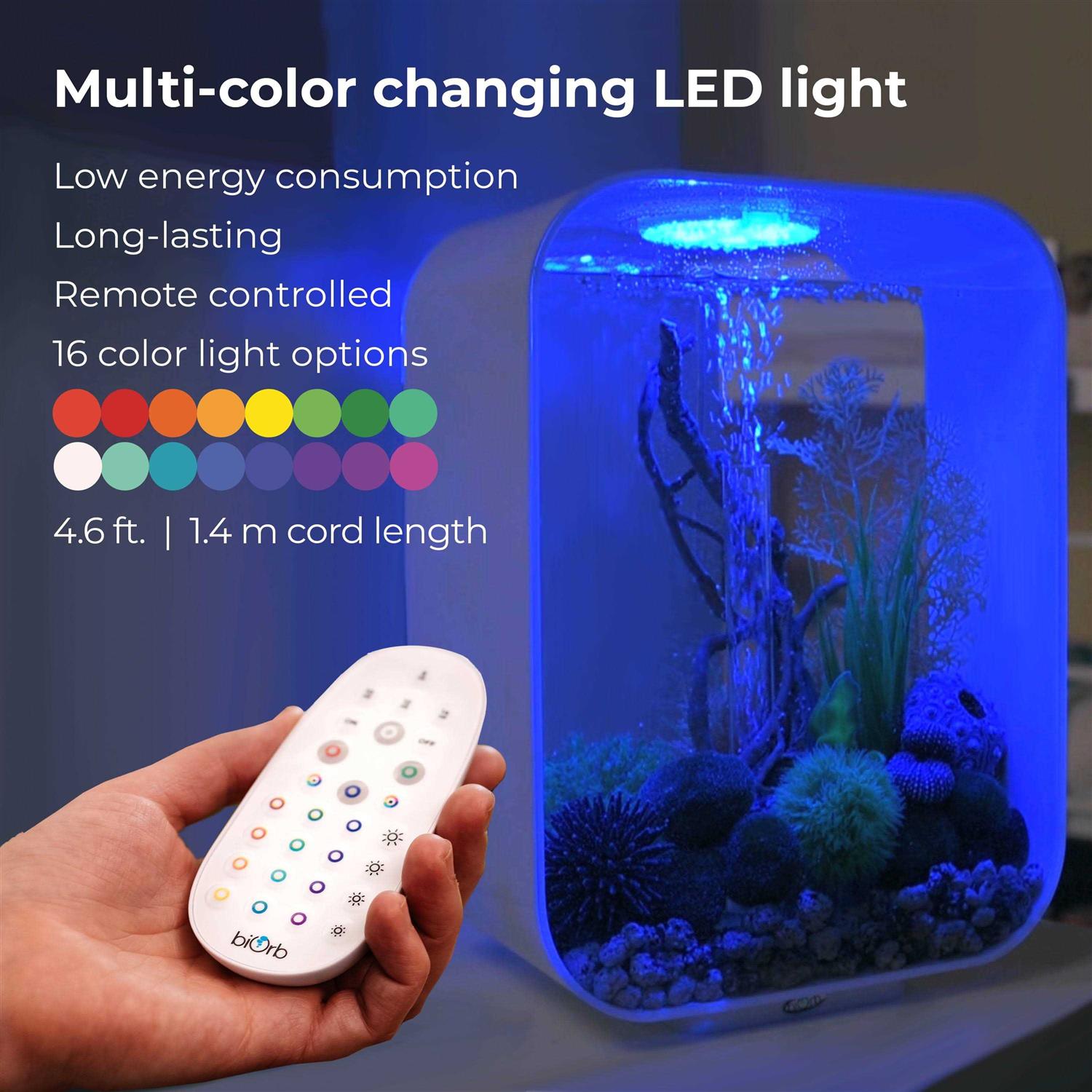 Aquarium with MCR Light I417638