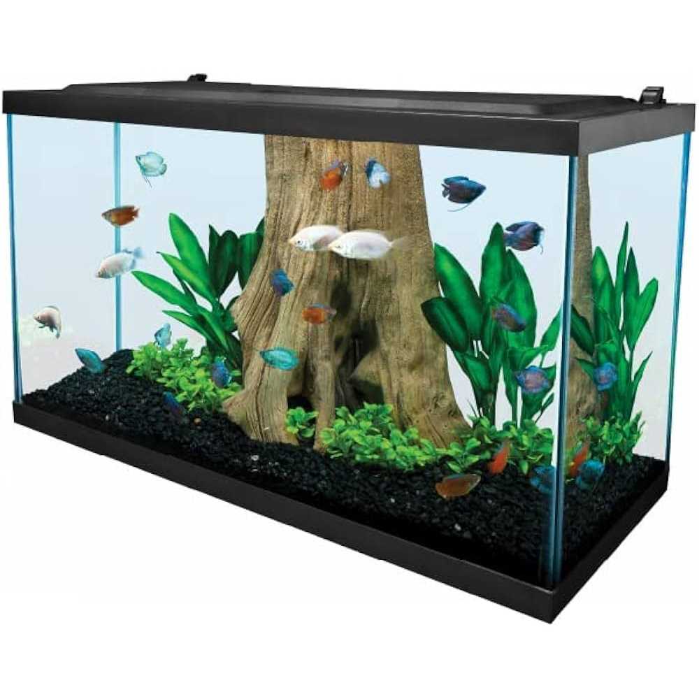 29 Gallon Glass LED Aquarium Kit A14407