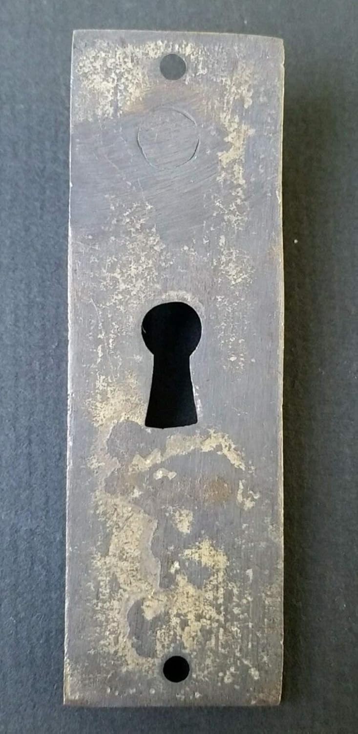 Brass Handle and Escutcheon for Doors and Drawers T247
