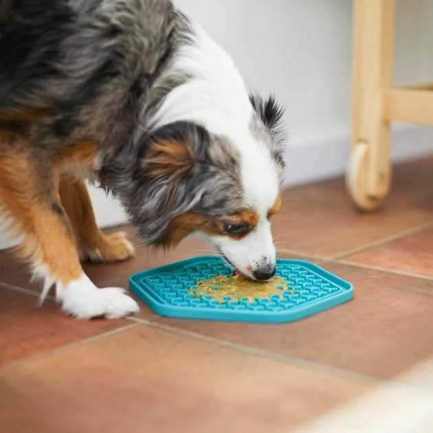 Silicone Treat Lick Mat for Pets K3608