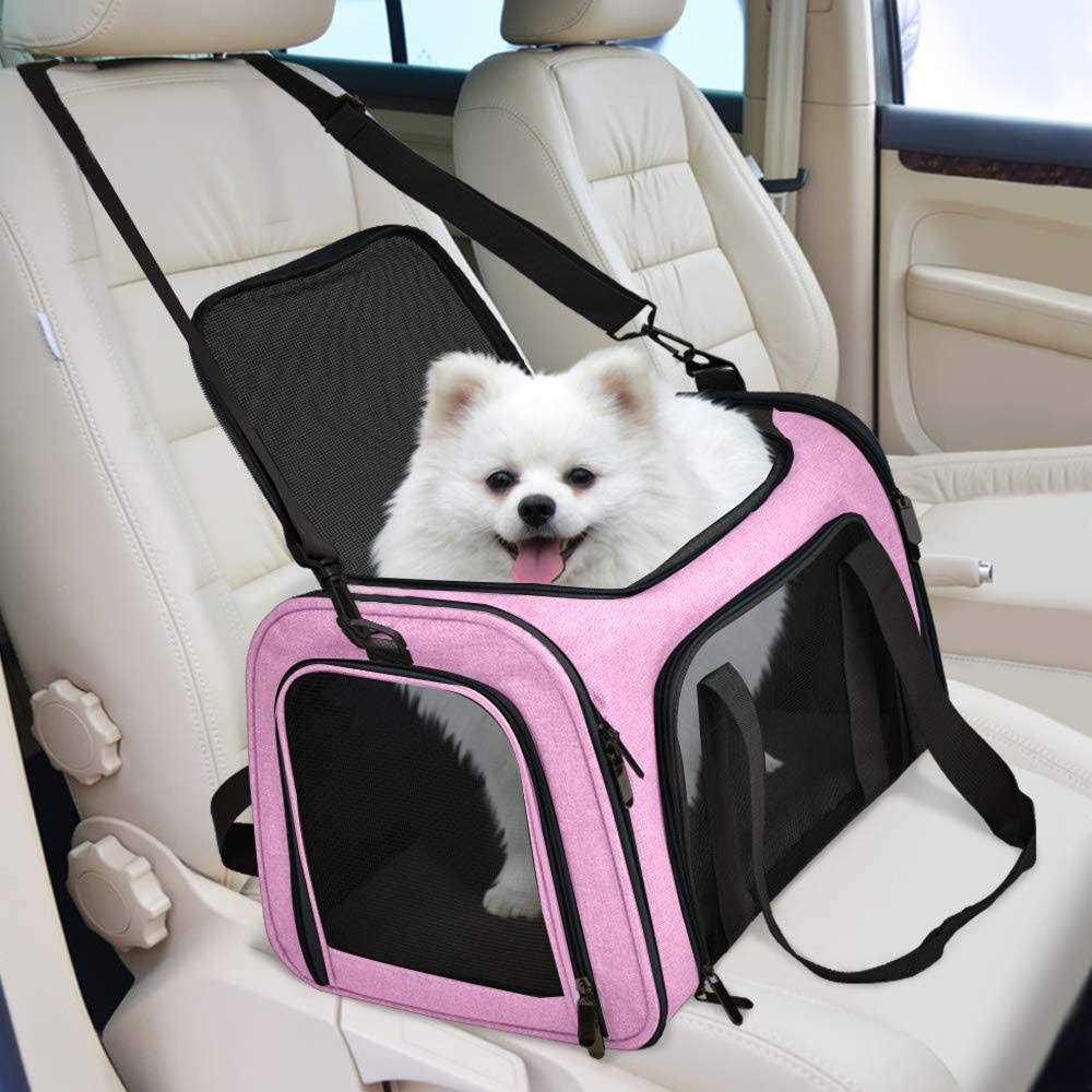 Cat Carrier for Small Medium Cats Puppies up to 15 Lbs Y836427