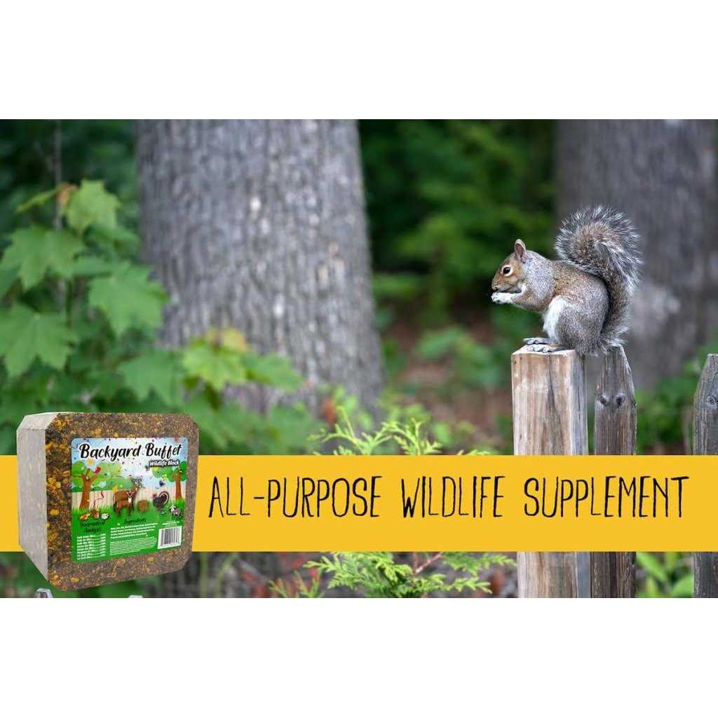 Wildlife Treat for Backyard Animals G51353