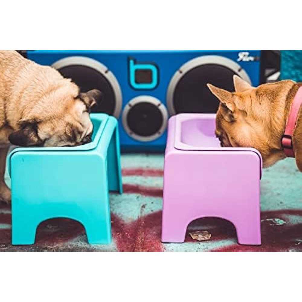 Elevated Dog & Cat Feeder H84857