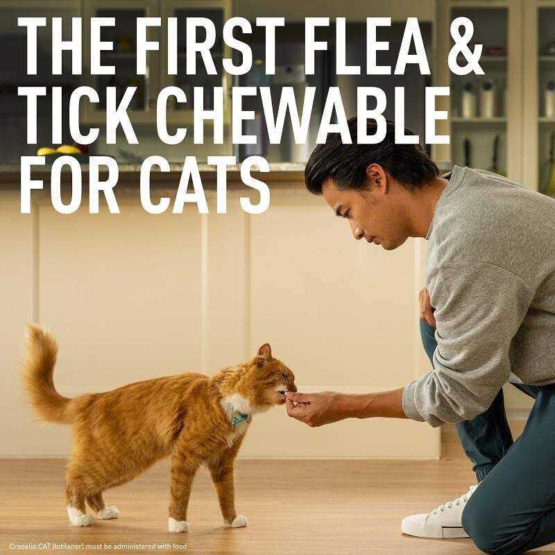 Cat flea and tick treatment for cats M561