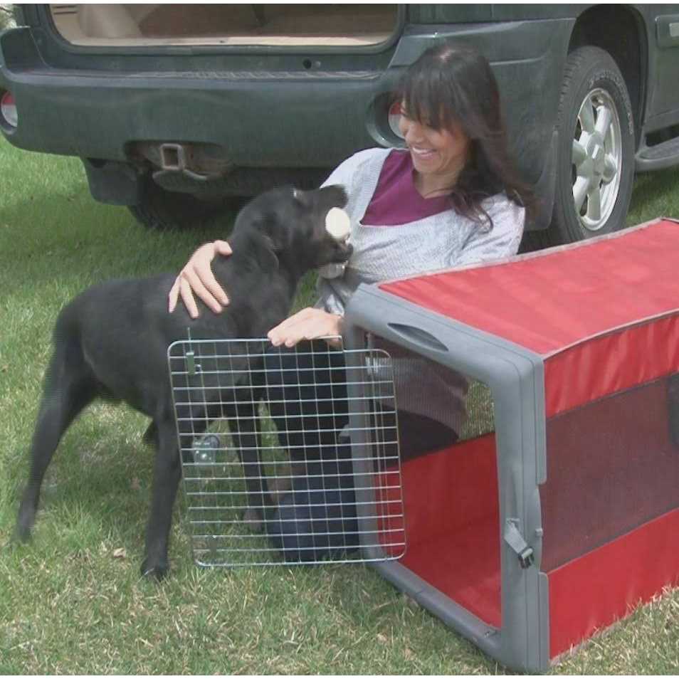 Pop up Travel Crate for Pets Z6840