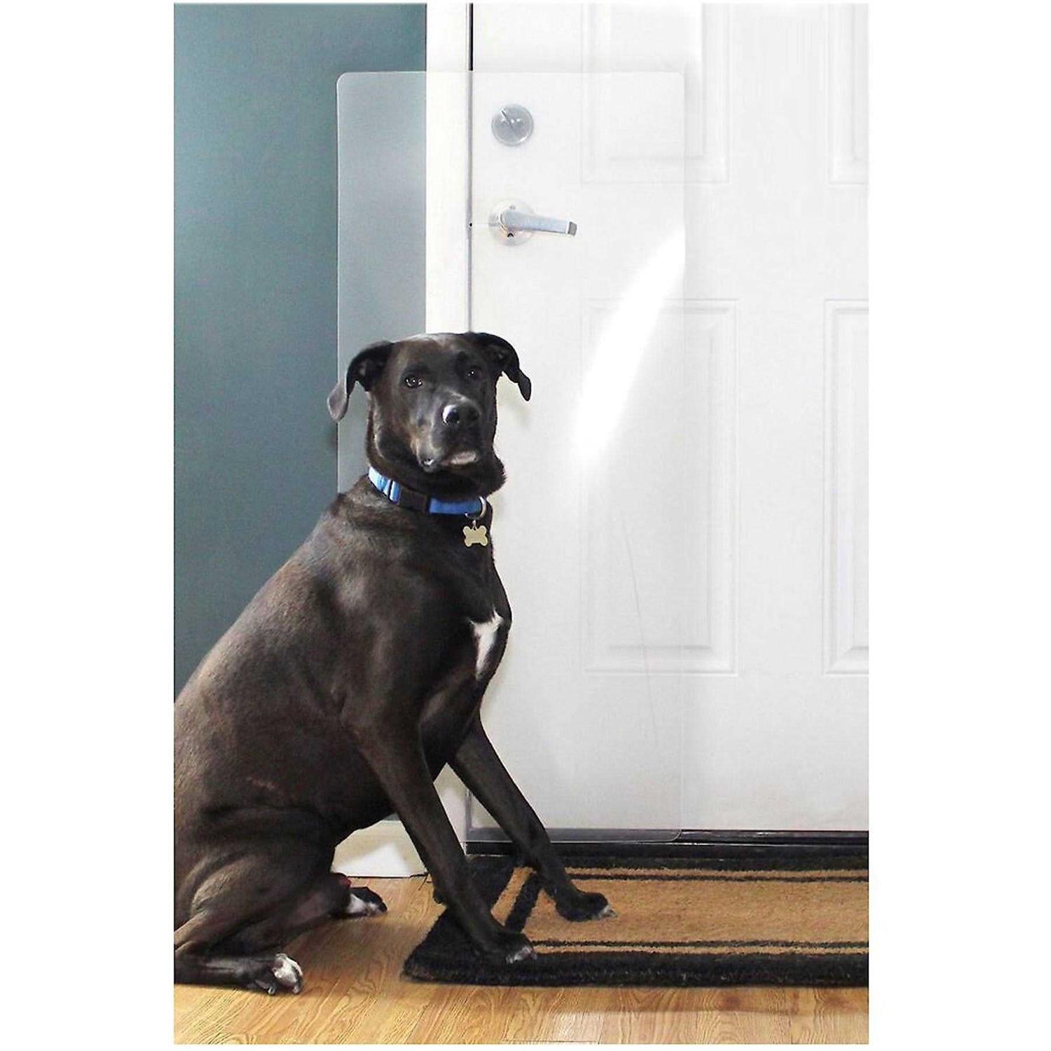 CLAWGUARD Heavy Duty Big Dog Scratch Shield - Pet Supplies online store