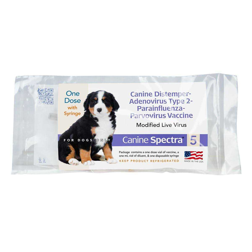 Dog Vaccine Q51380