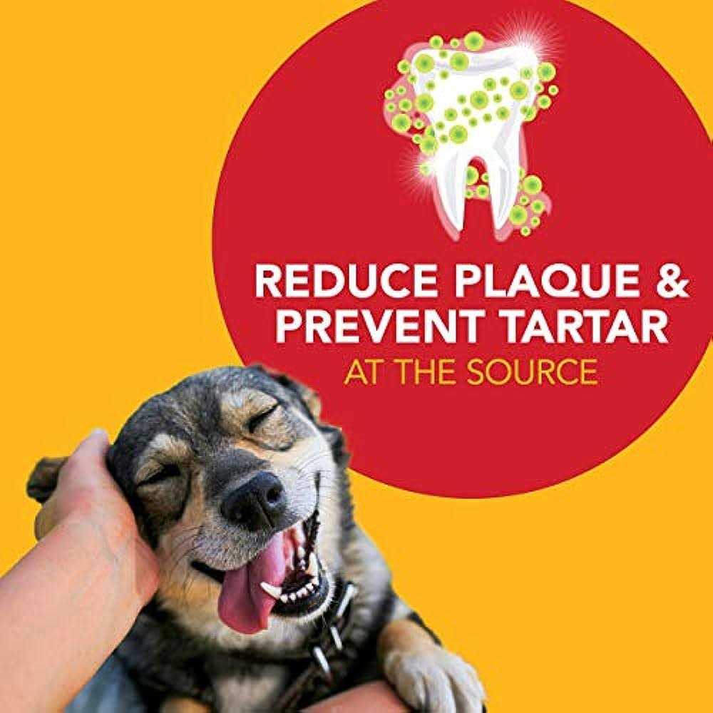 Natural Toothpaste for Dogs G9352