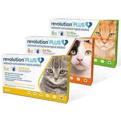 Topical Solution for Cats J9016