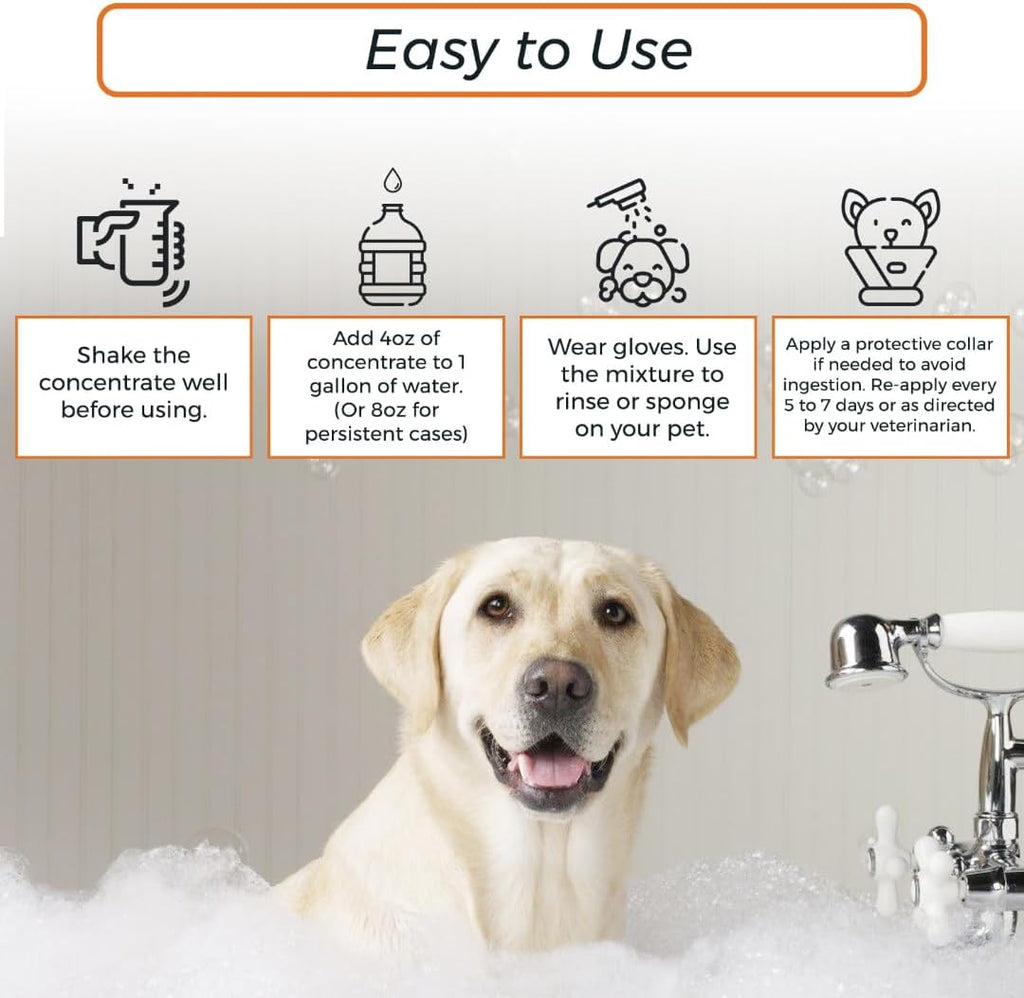 Lime Sulfur Dip and Antiparasitic Dog Shampoo with Salicylic Acid, 1 Gallon I121860
