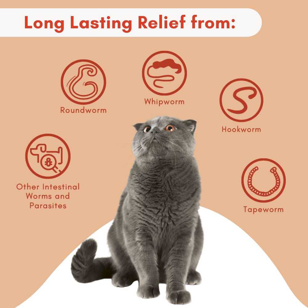 Broad Spectrum Dewormer for Cats and Kittens H2982