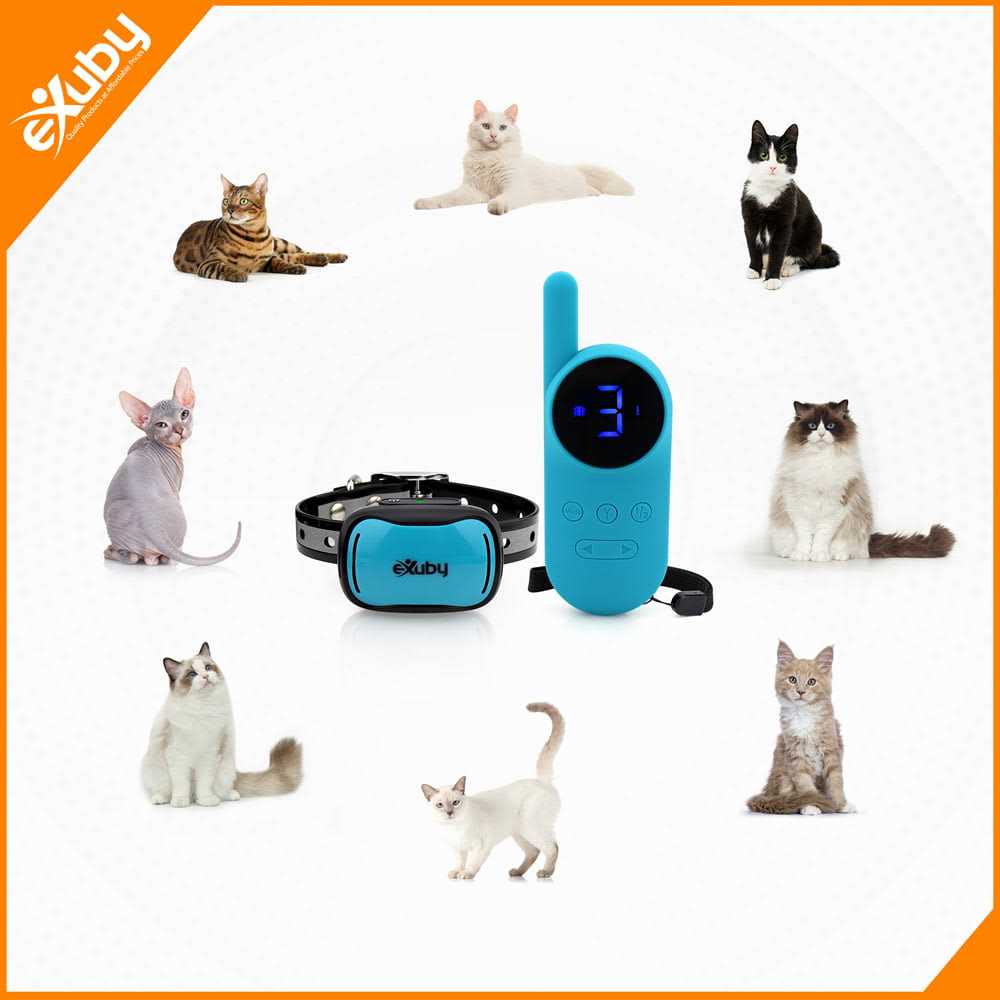 Small Cat Shock Collar with Remote for Training W355