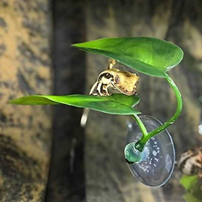 Betta Fish Leaf Pad with Suction Cup for Resting and Breeding O404