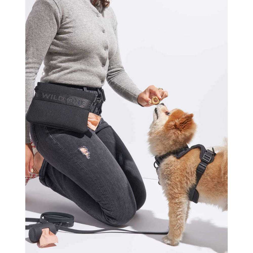 Cotton Dog Treat Pouch K9730