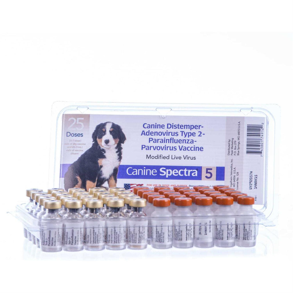 Dog Vaccine Q51380