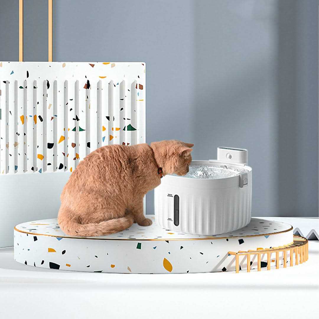 Automatic Pet Water Fountain HANAMYA - Pet Supplies online store