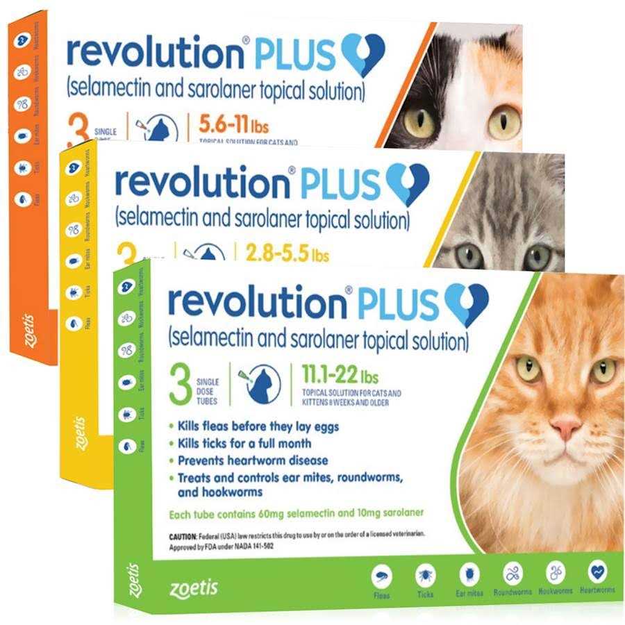 Cat Flea and Tick Treatment for Large Cats L584090