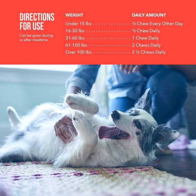 Soft Chews Joint Supplement for Dogs X886