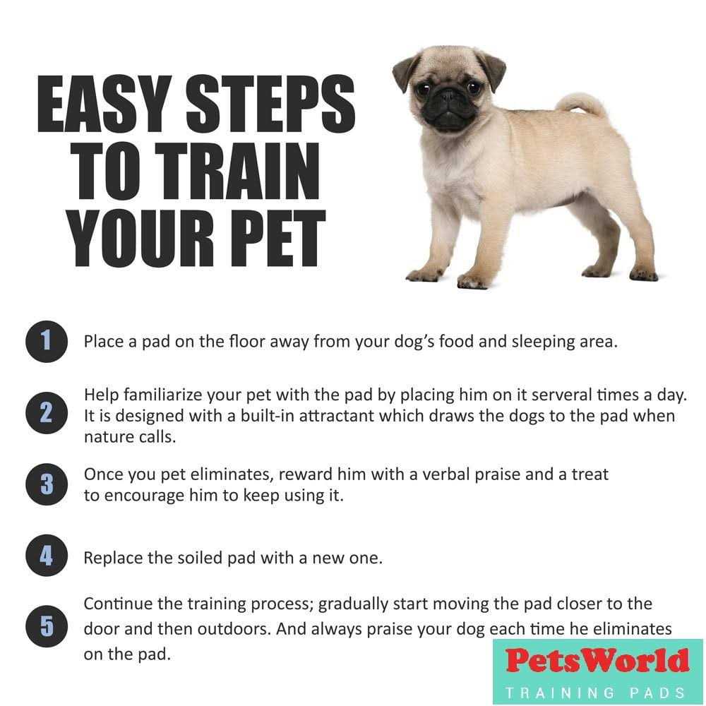 Giant Potty Pads Odor Eliminating for Dogs H72482