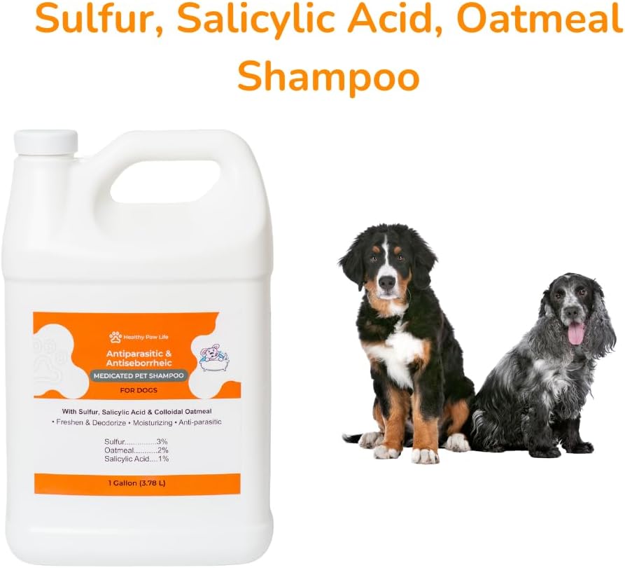 Lime Sulfur Dip and Antiparasitic Dog Shampoo with Salicylic Acid, 1 Gallon I121860