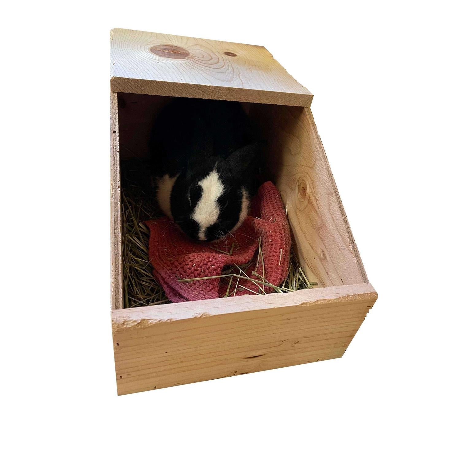 Rabbit Nesting Box for Pets G31733