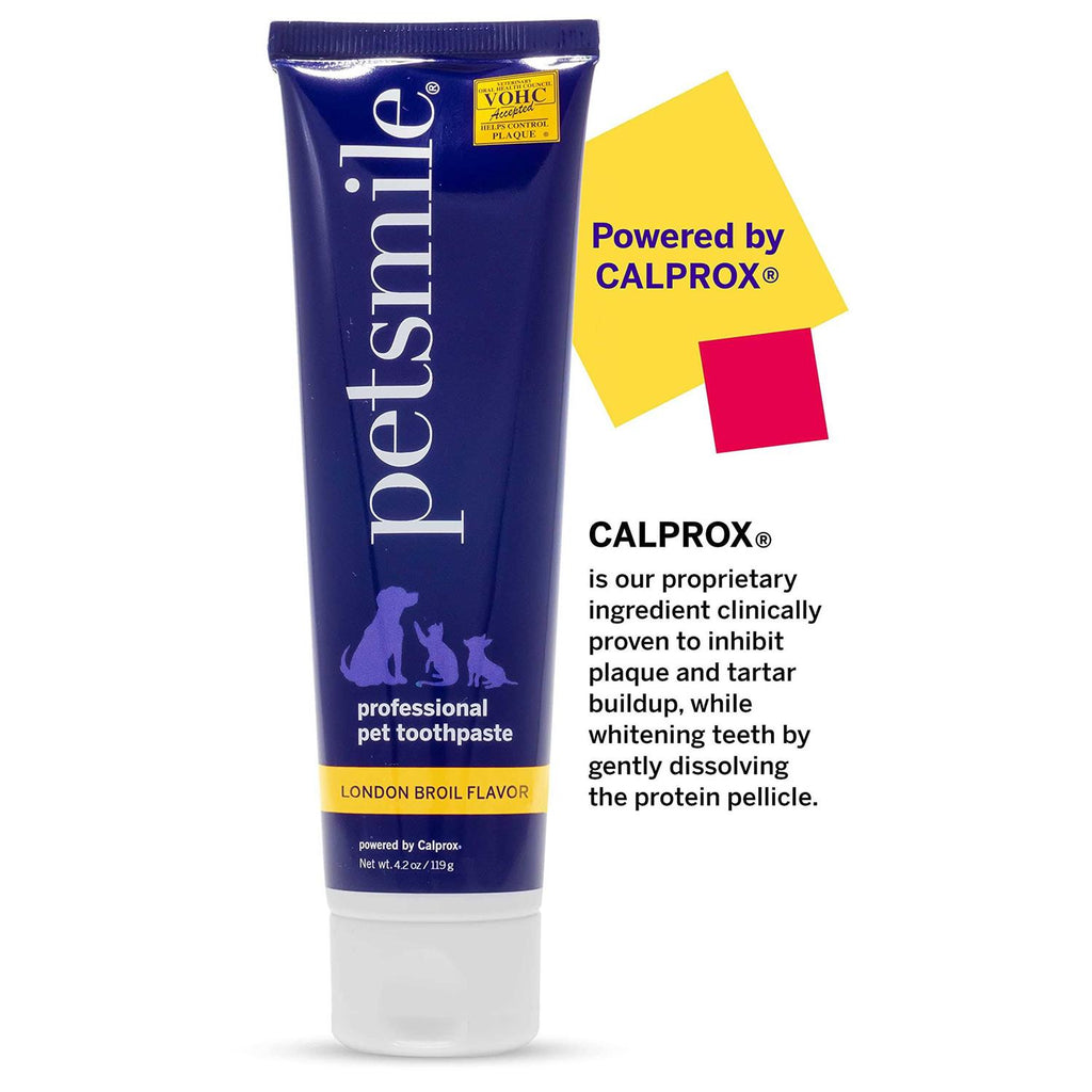 Professional Toothpaste for Pets G697