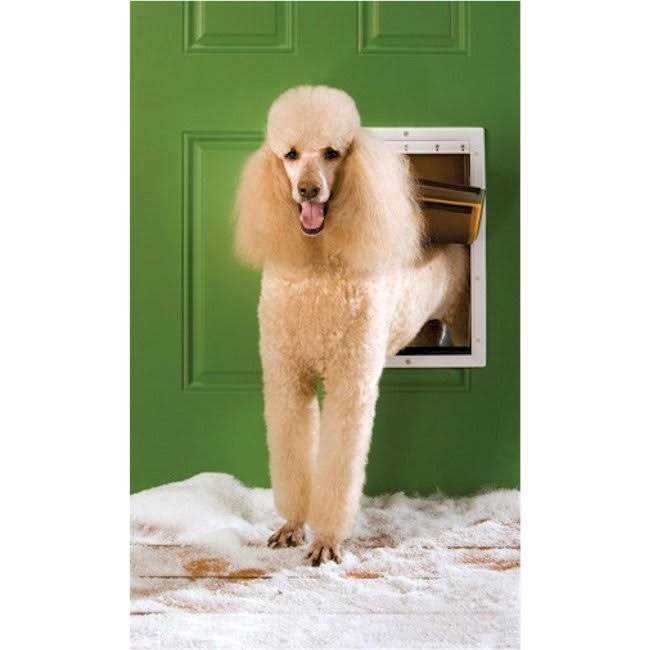 Extreme Weather Pet Door O8540