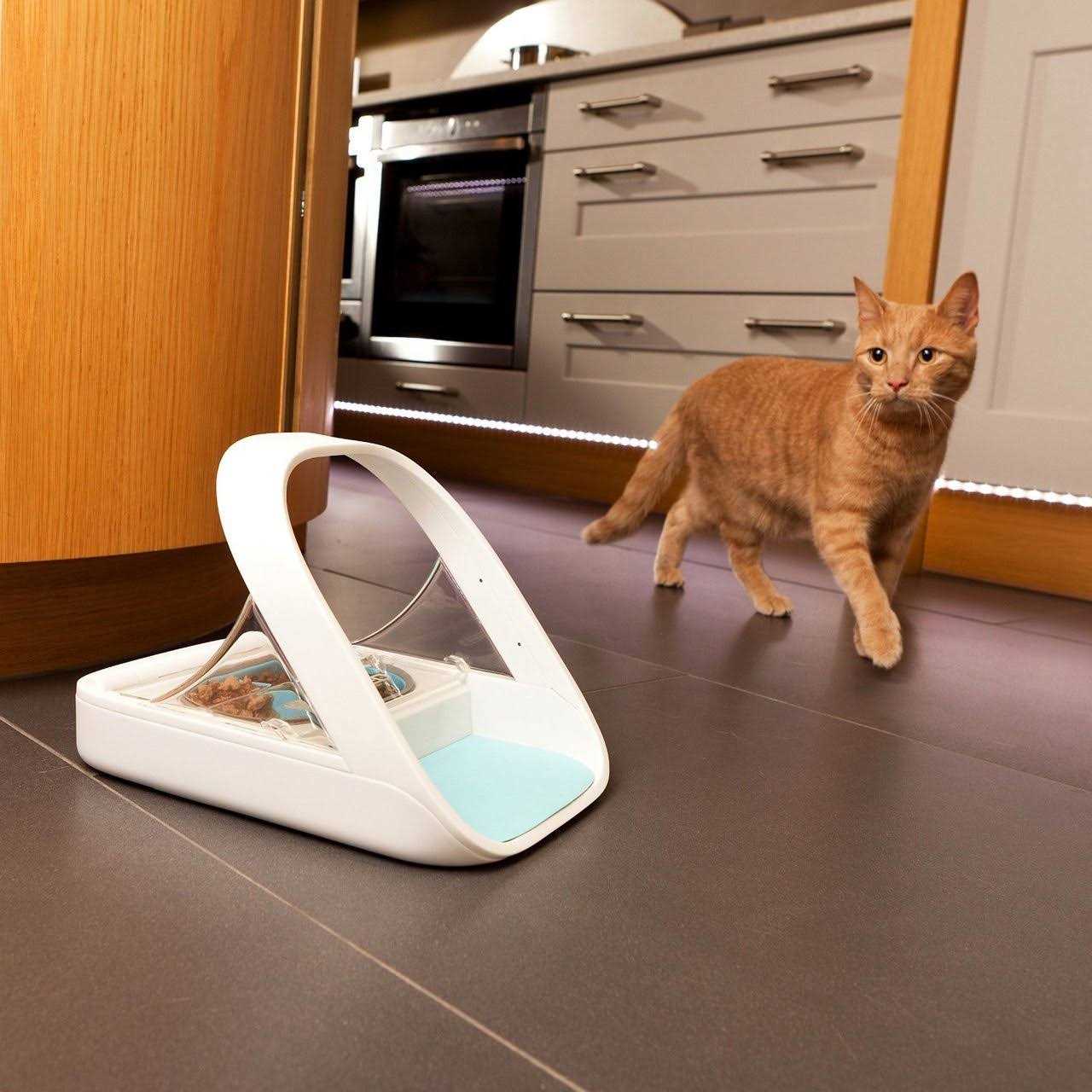 Microchip Pet Feeder Q12524