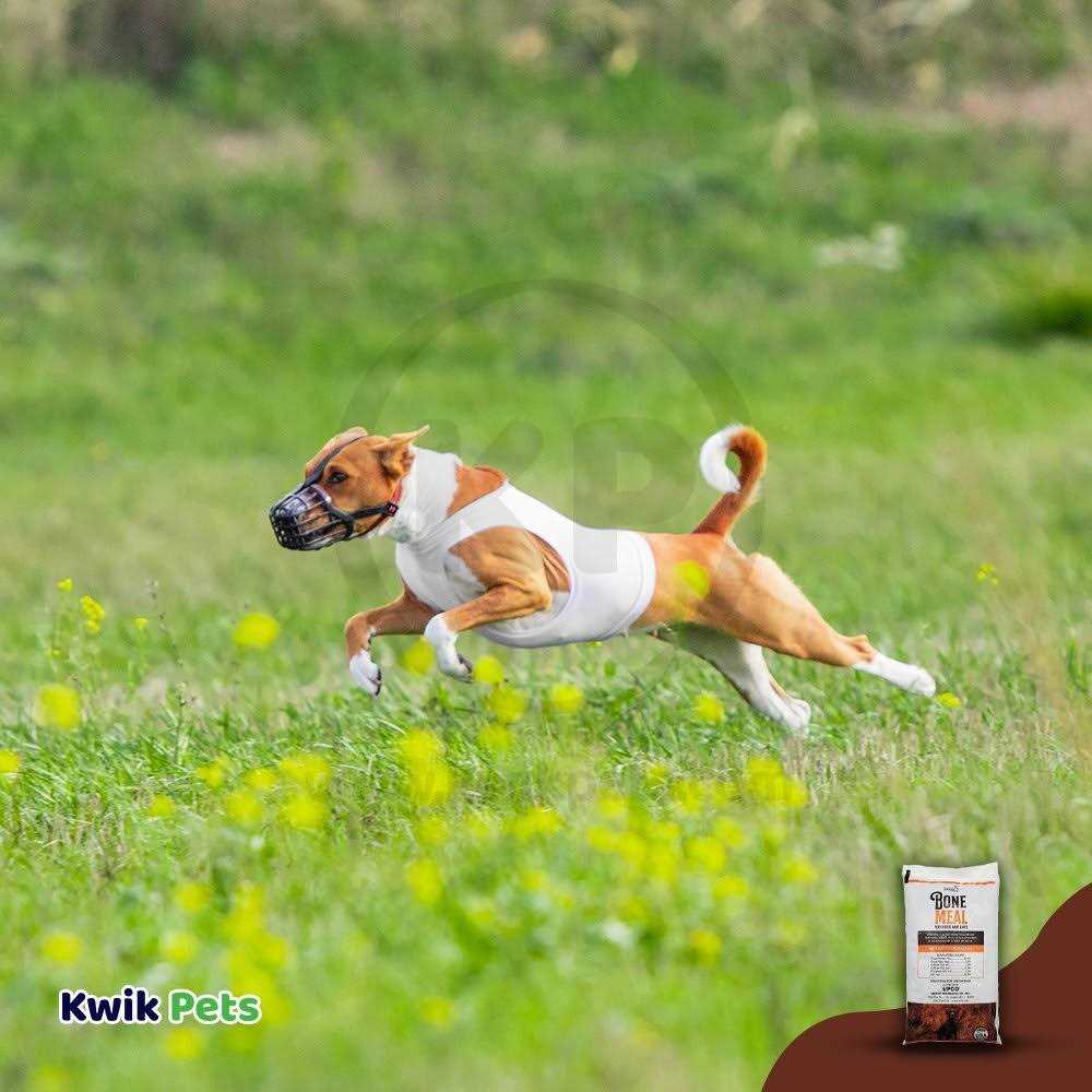 Bone Meal Supplement for Dogs and Cats F5441