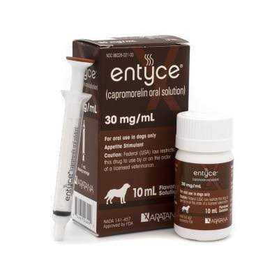 Entyce Oral Solution 30mg/ml - Pet Supplies online store