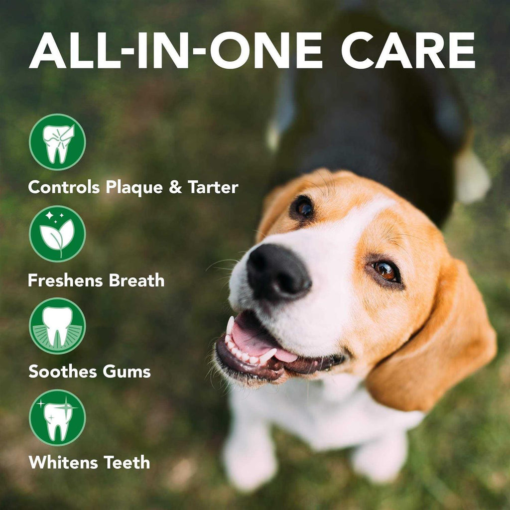 Enzymatic Toothpaste and Toothbrush Dog Dental Care Kit V89586