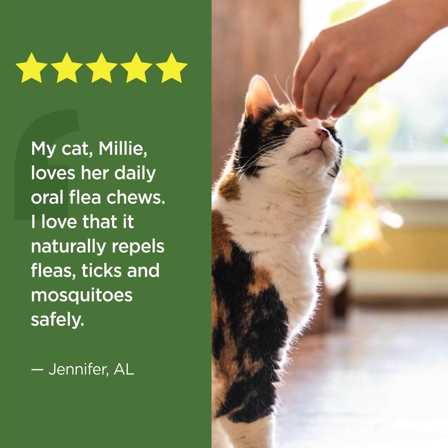 Oral Flea & Tick Chews for Cats 120 ct X567851