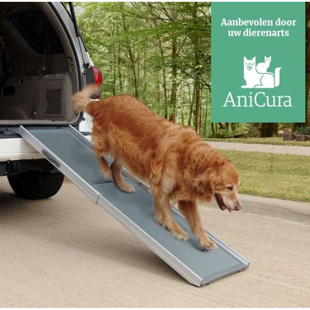 Telescoping Pet Ramp for Dogs and Cats A4511