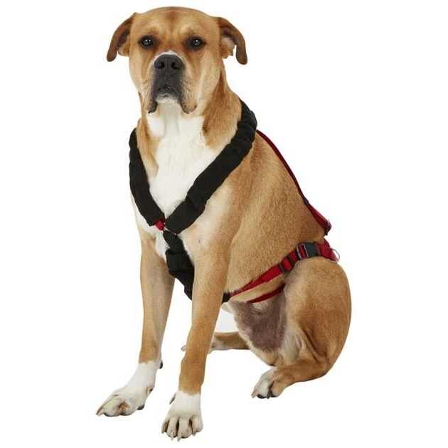 Dog Harness C5470