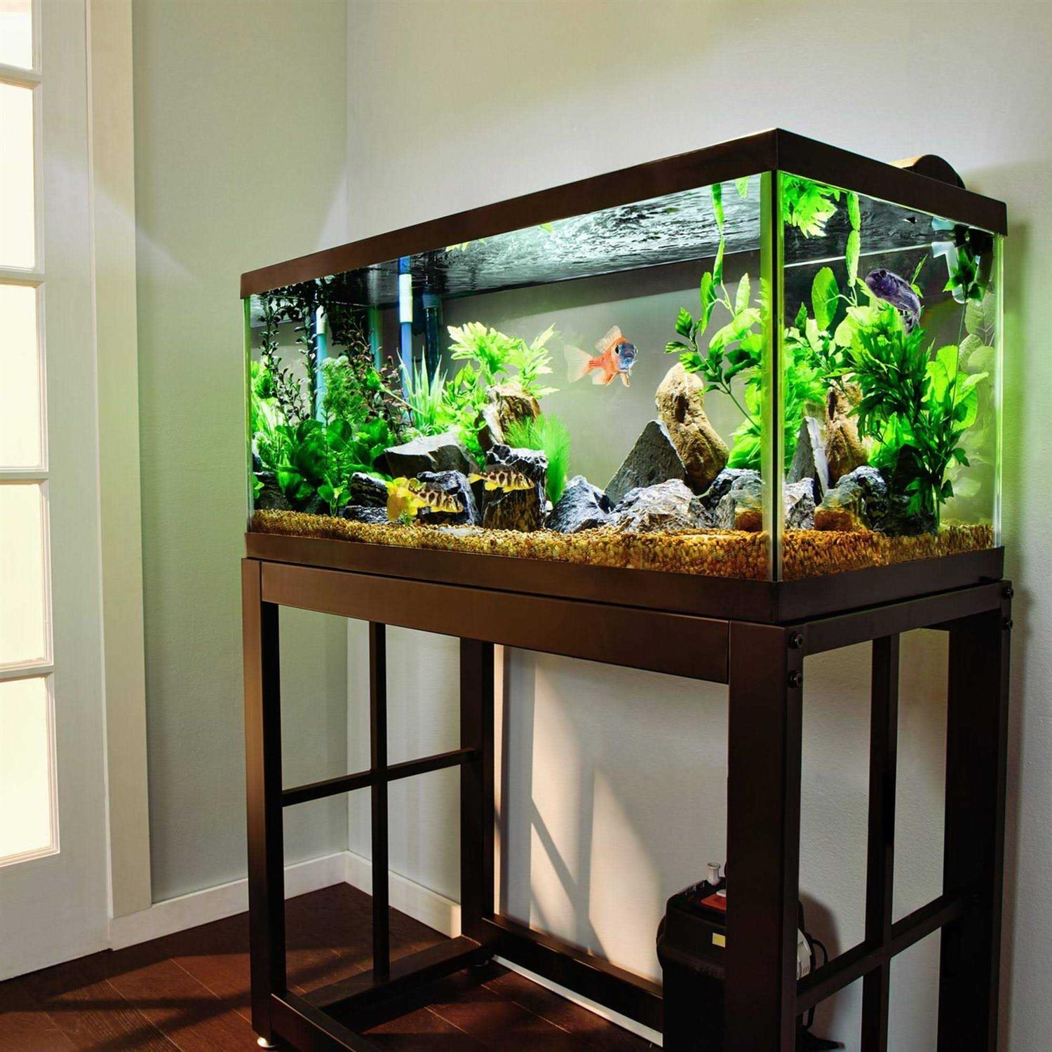 Aquarium Black Y51290
