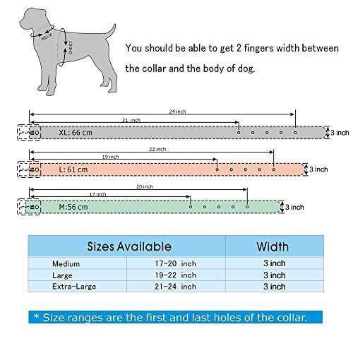 Sharp Spiked Studded Leather Dog Collar for Medium Dogs B815
