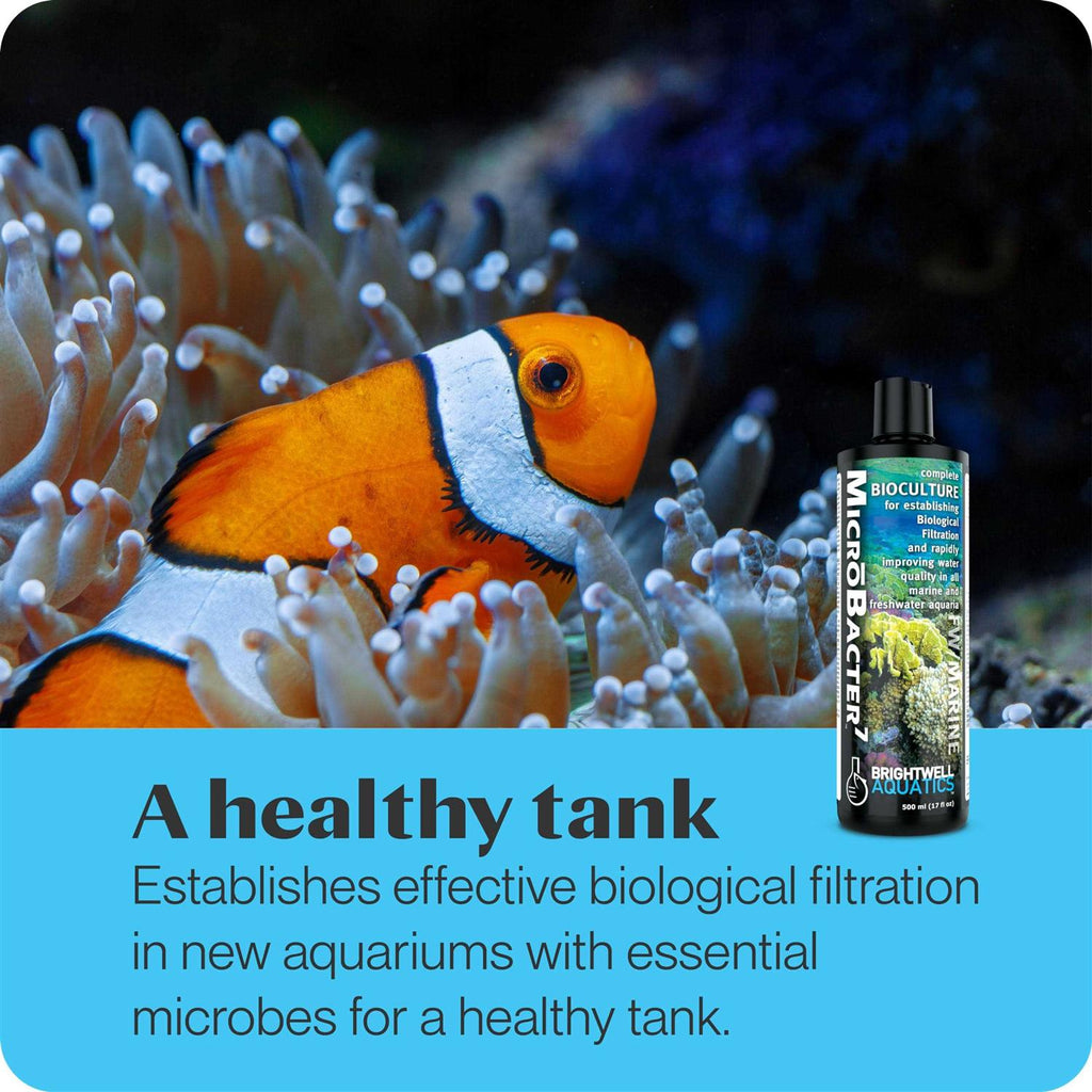 MicroBacter7 1 Liter Aquarium Bacteria Supplement X42629