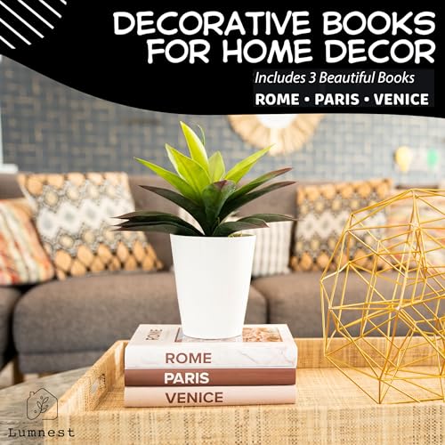 Faux Books for Coffee Table Decor, Set of 3 S316315