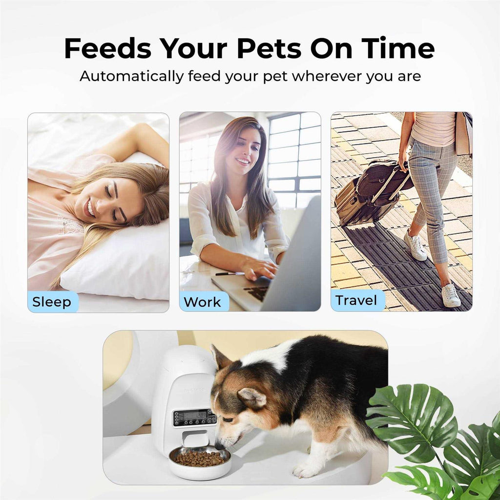 Automatic Dog & Cat Feeder I62725