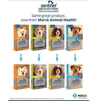 Pet Supplies for Dogs C837