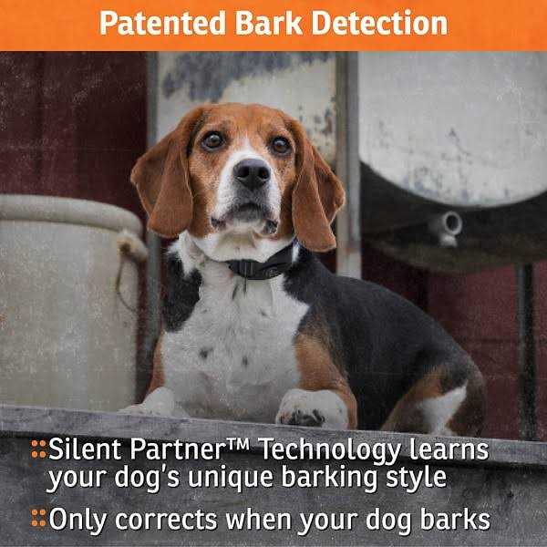 Dog Training Collar D911088