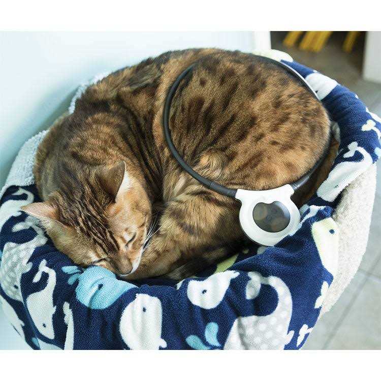 Manual Pet Supplies L949126