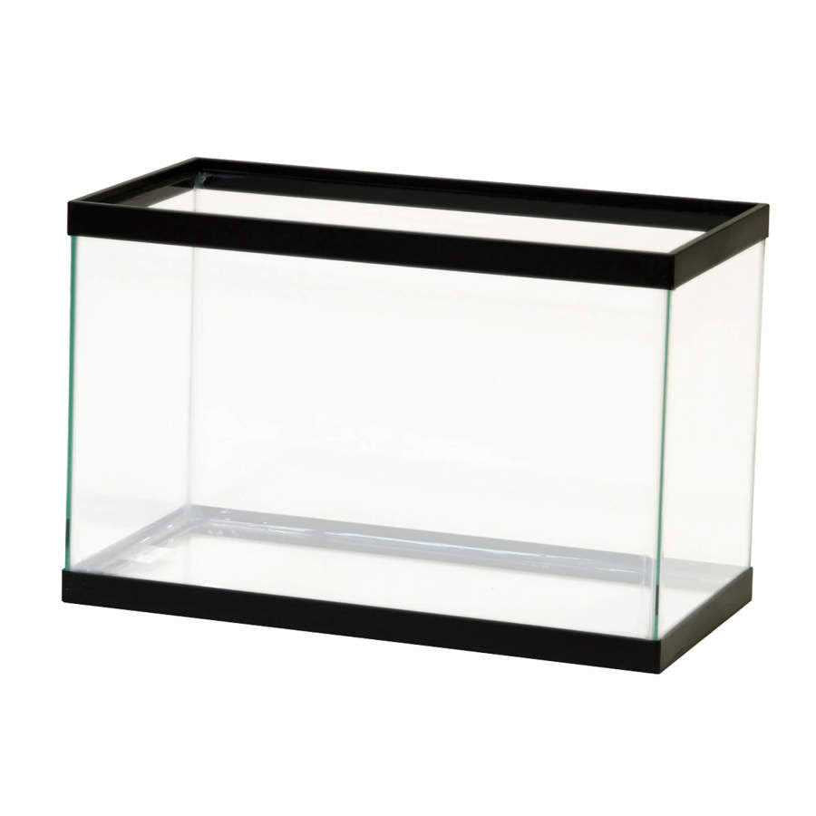 Glass Rectangle Aquarium K691564