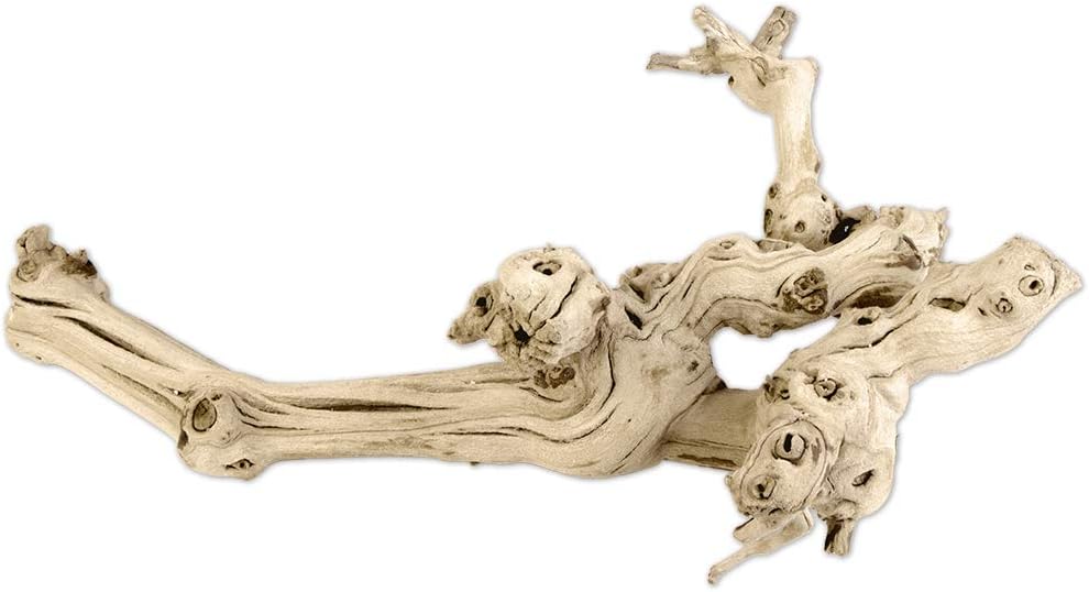 Natural Grapewood Vine Branch, 6-Inch F488145