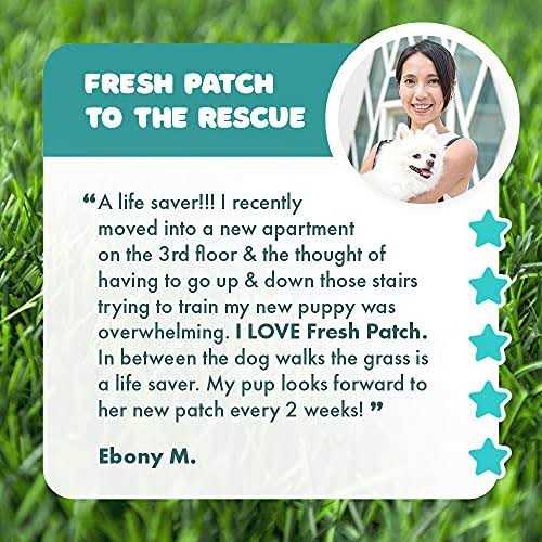 Large Real Grass Potty Training Pad for Dogs 15-30 lbs Y234042