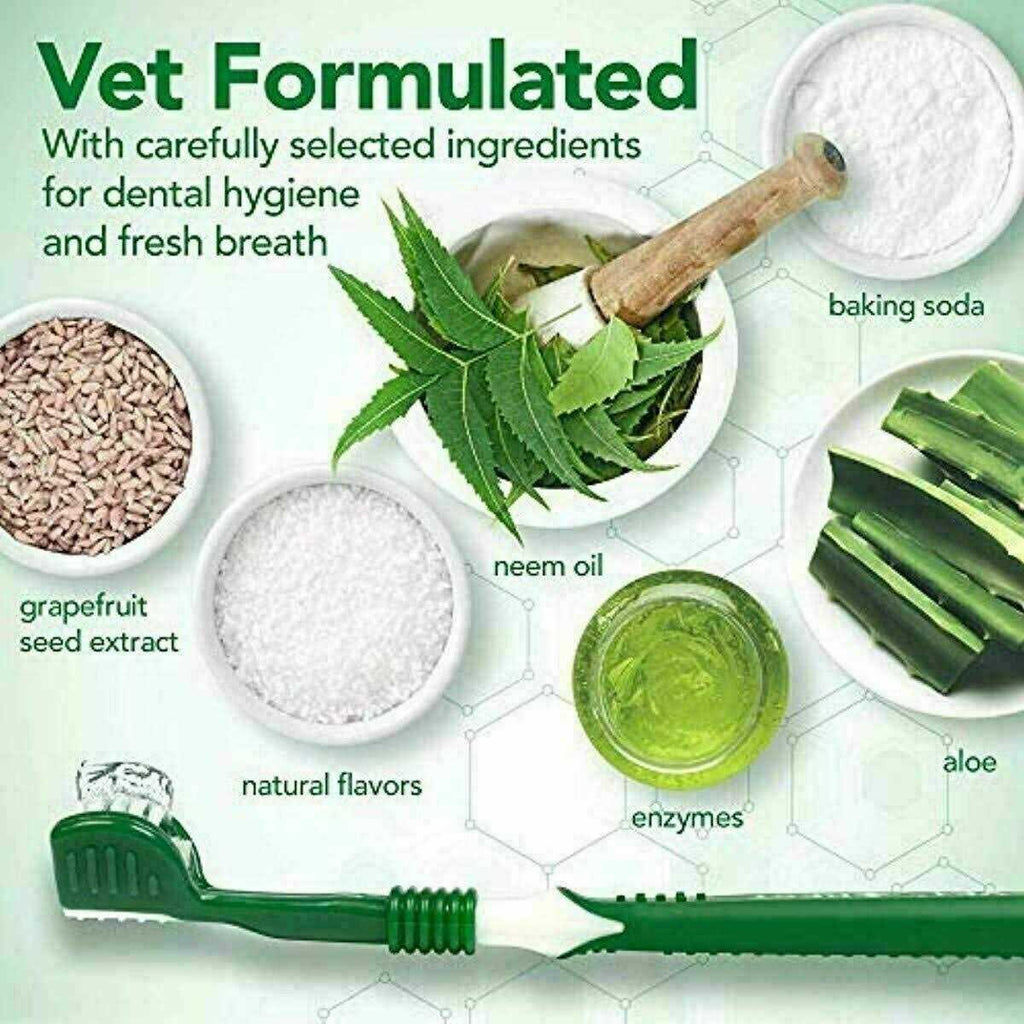 Enzymatic Toothpaste and Toothbrush Dog Dental Care Kit V89586