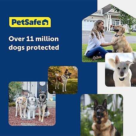 In-Ground Pet Fence System V4485